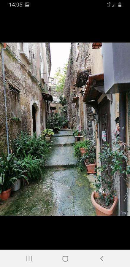 Appartement La Casa Nel Borgo à SantʼAgata deʼ Goti Extérieur photo